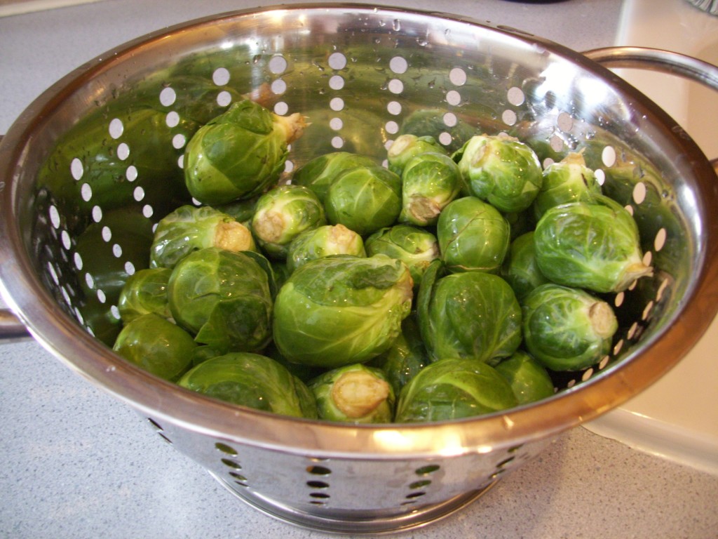 sprouts